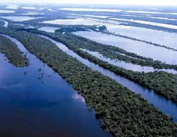 Amazonas: Anavilhanas-Archipel