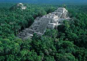 Calakmul, Bild von Patricia Tames